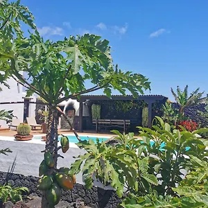 Apartamento Dragos, Masdache